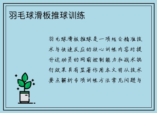 羽毛球滑板推球训练