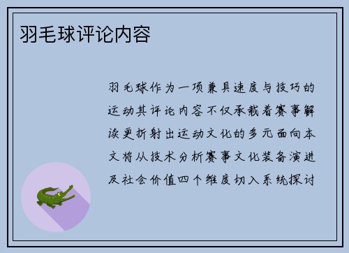 羽毛球评论内容